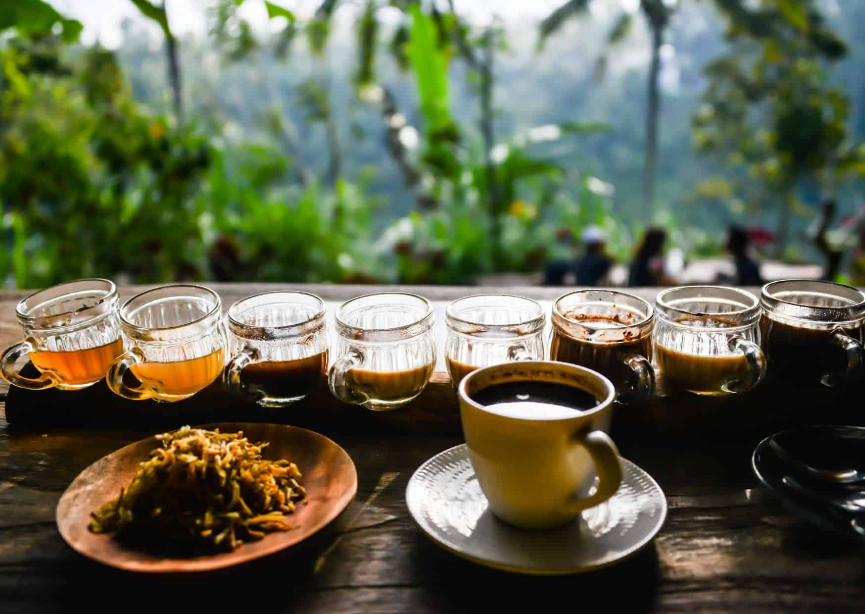 10 Weirdest Foods People Actually Eat Around the World (Would You Dare?) 8 Luwak Coffee