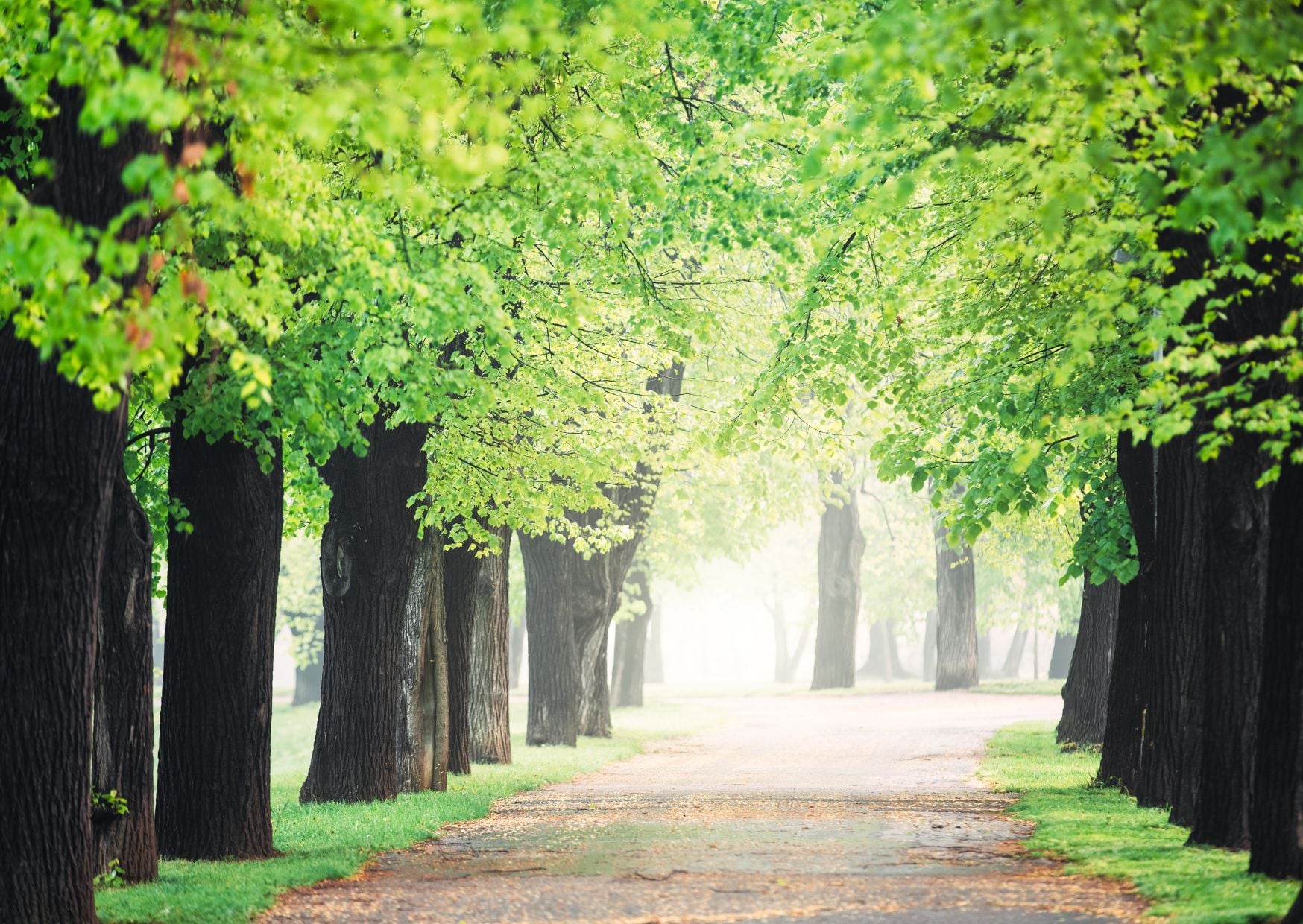 12 Common Mistakes To Avoid In Prague