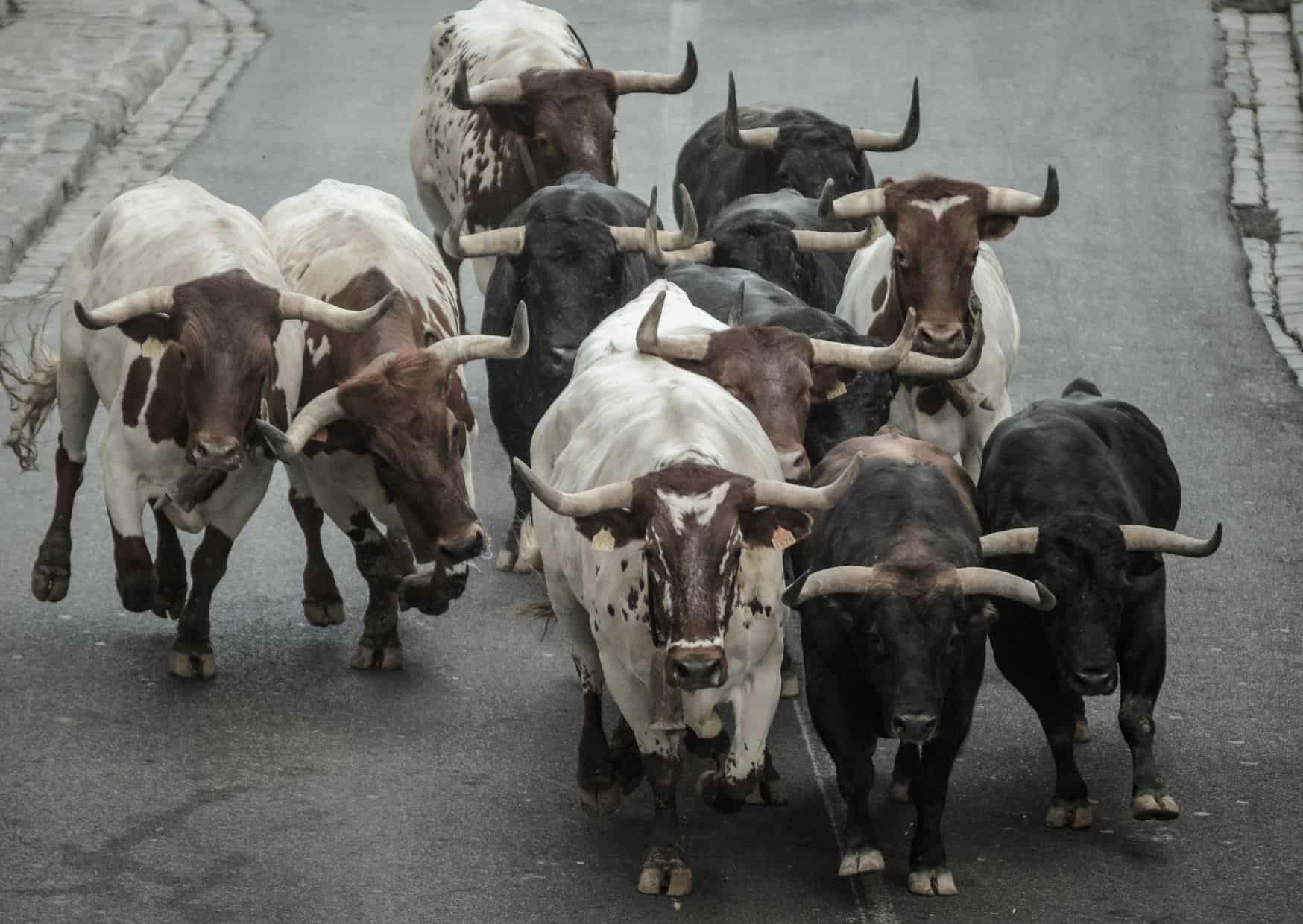 12 Most Popular Tourist Traps in Spain And How To Avoid Them
