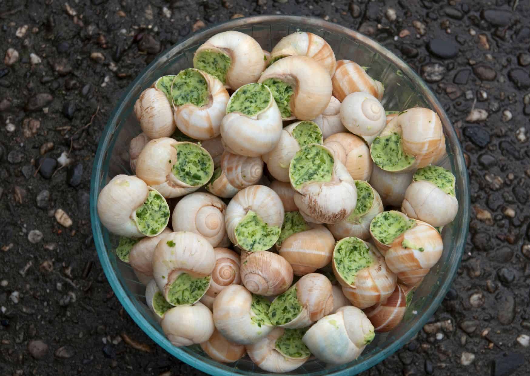 How To Make Escargots (Recipe Guide)