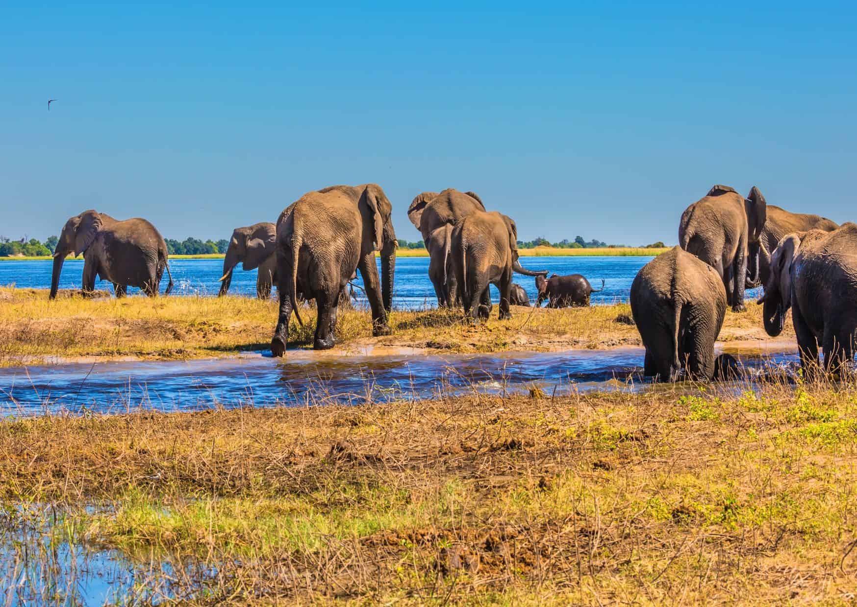 12 Trips You Should Take After Your 30s