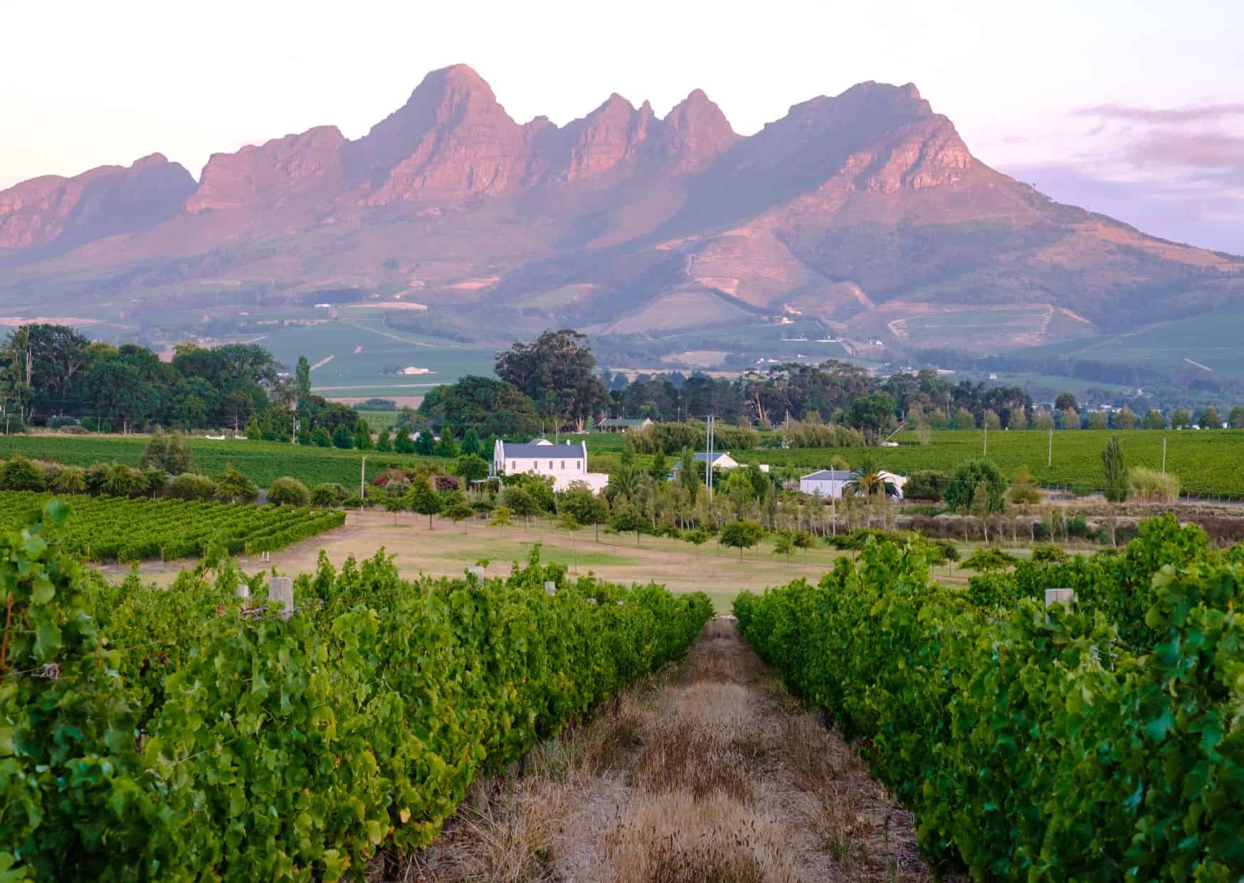 11 Mistakes to Avoid in Cape Town and How to Avoid Them 3 11 Mistakes to Avoid in Cape Town and How to Avoid Them