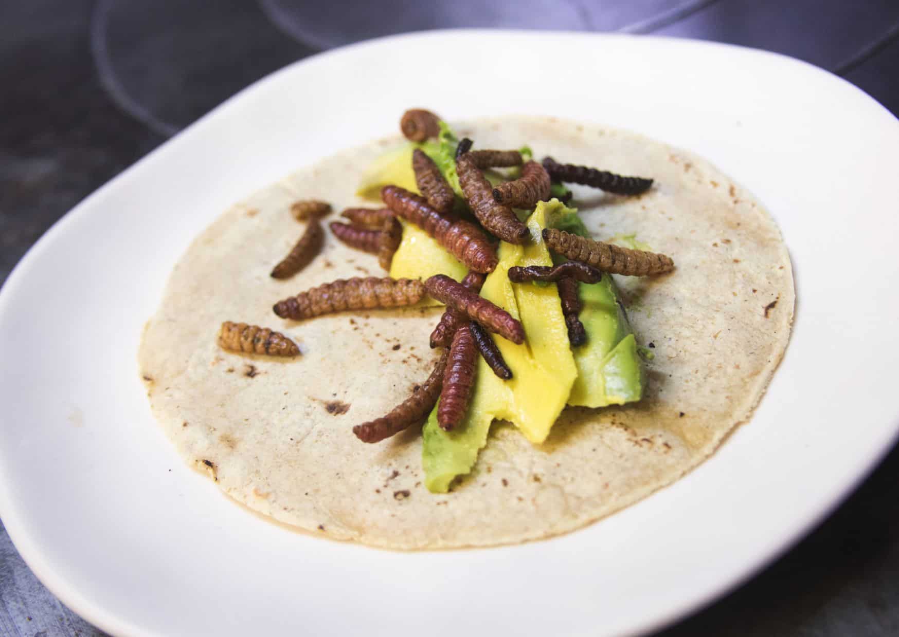 The 8 Most Controversial Foods Worldwide (And What to Replace Them With) 13 Escamoles,