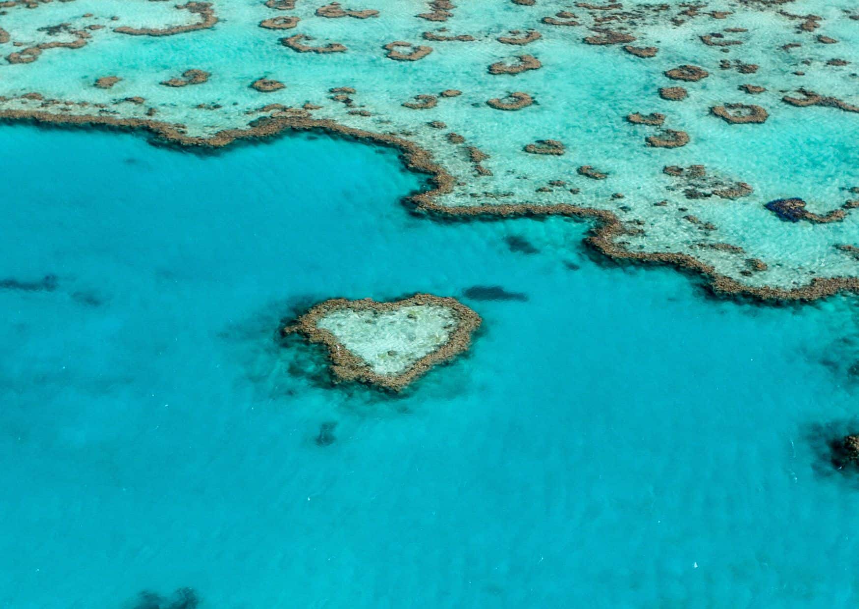 15 Most Popular Nature Destinations: A Nature Lover’s Paradise Around the World, Great Barrier Reef, Australia, 20 Top Bucket List Experiences For Your Next Year