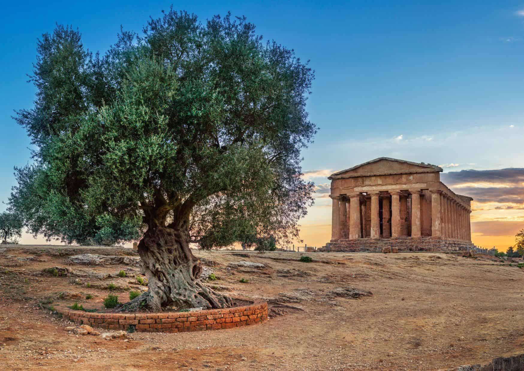 The Valley of the Temples, Sicily