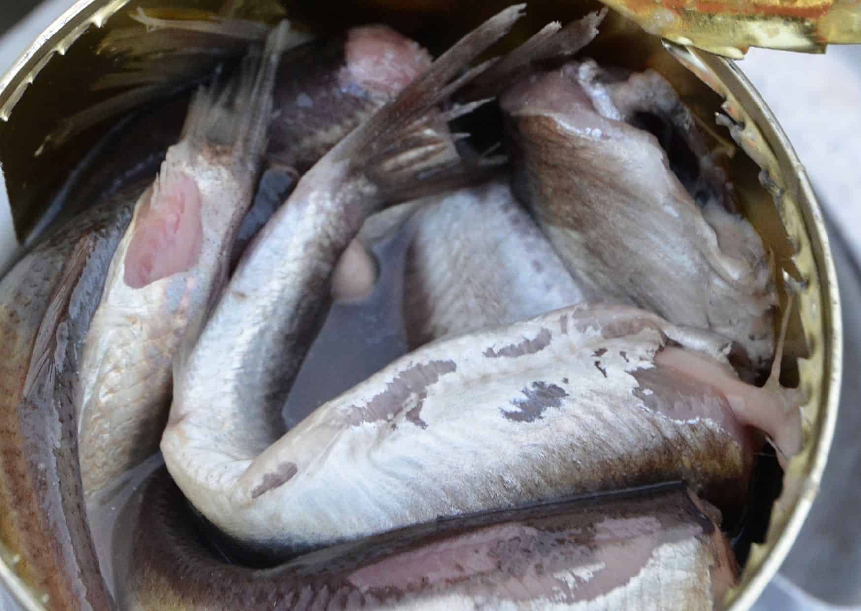 The 8 Most Controversial Foods Worldwide (And What to Replace Them With) 5 Surströmming,