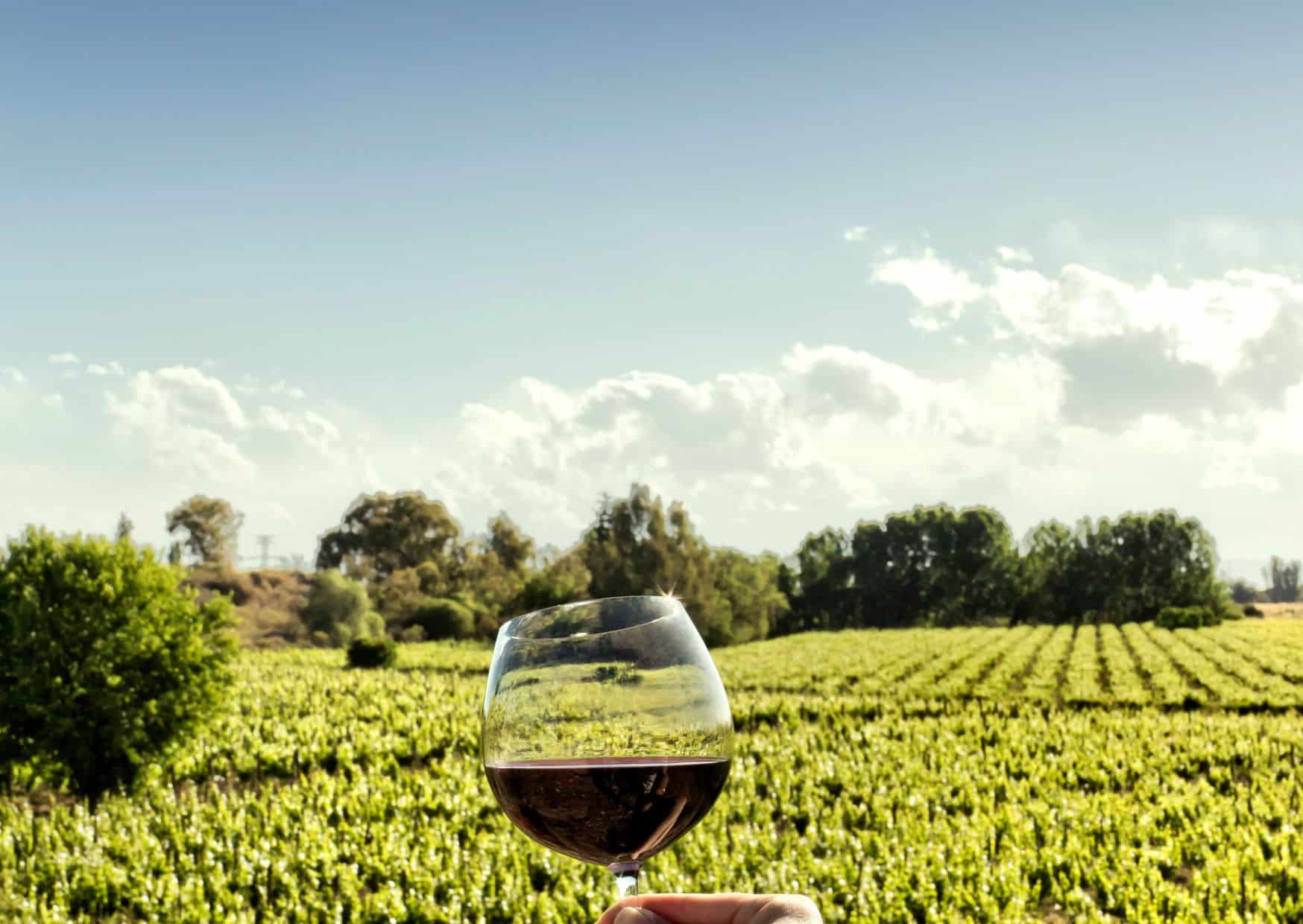 Malbec,