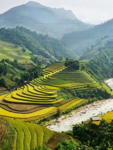 15 Cheapest Countries to Travel in 2025, 15 Culture Shocks for Americans in Vietnam