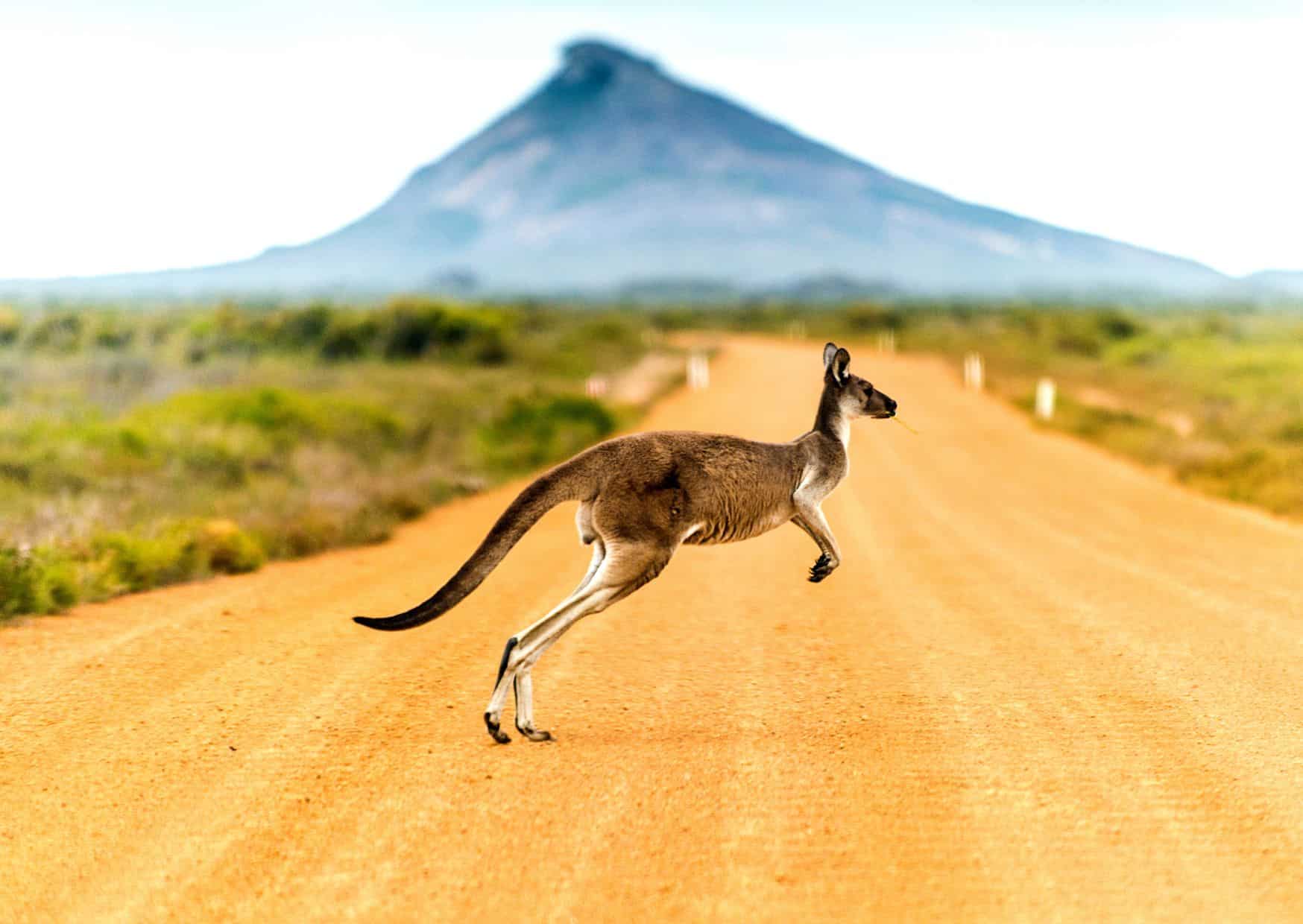 Australia 4
