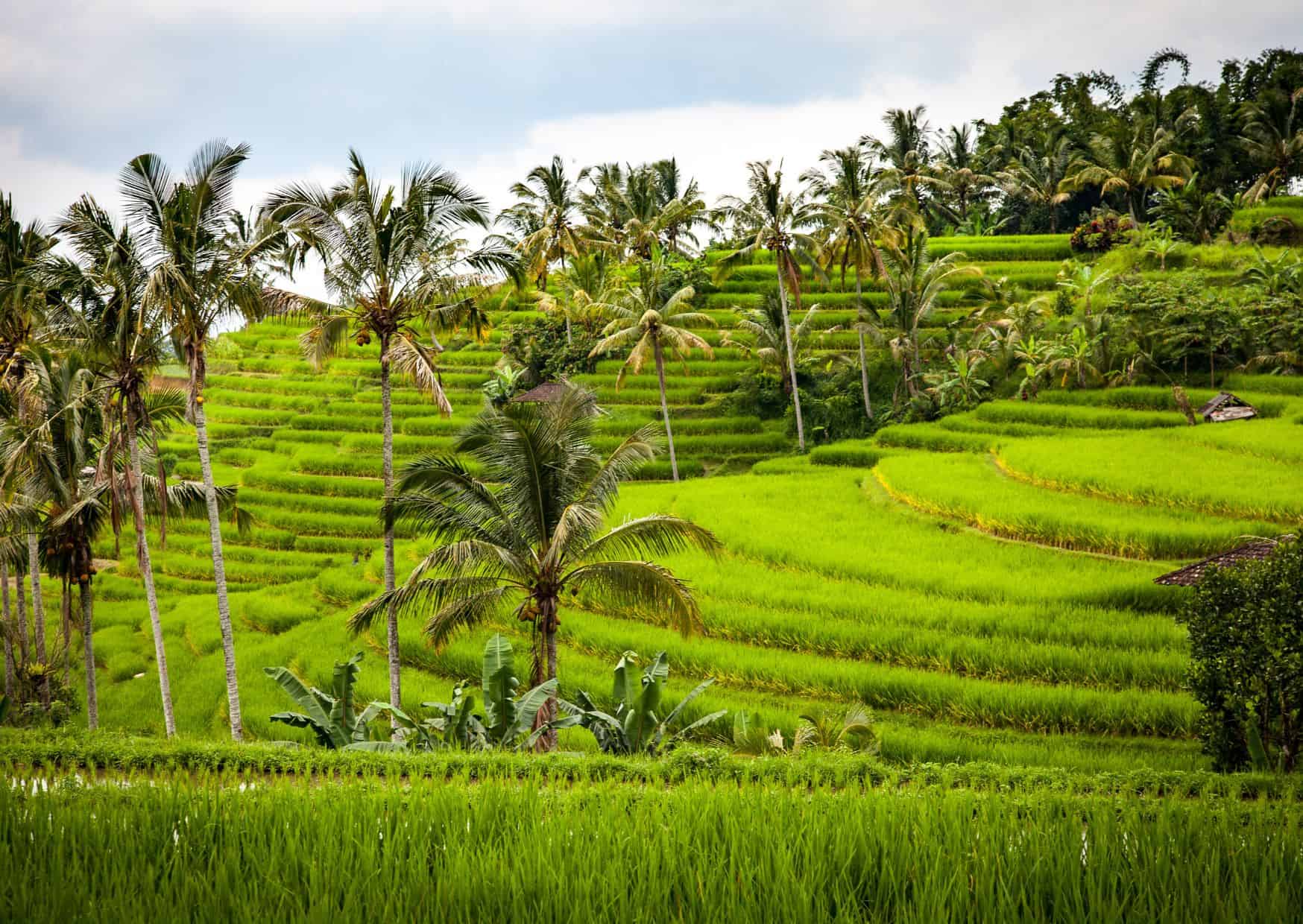 The World’s Most Beautiful Destinations Are Being Ruined by the Crowds 2 Bali 3