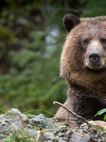 Don’t Do This in Canada: 20 Things Not to Do in Canada