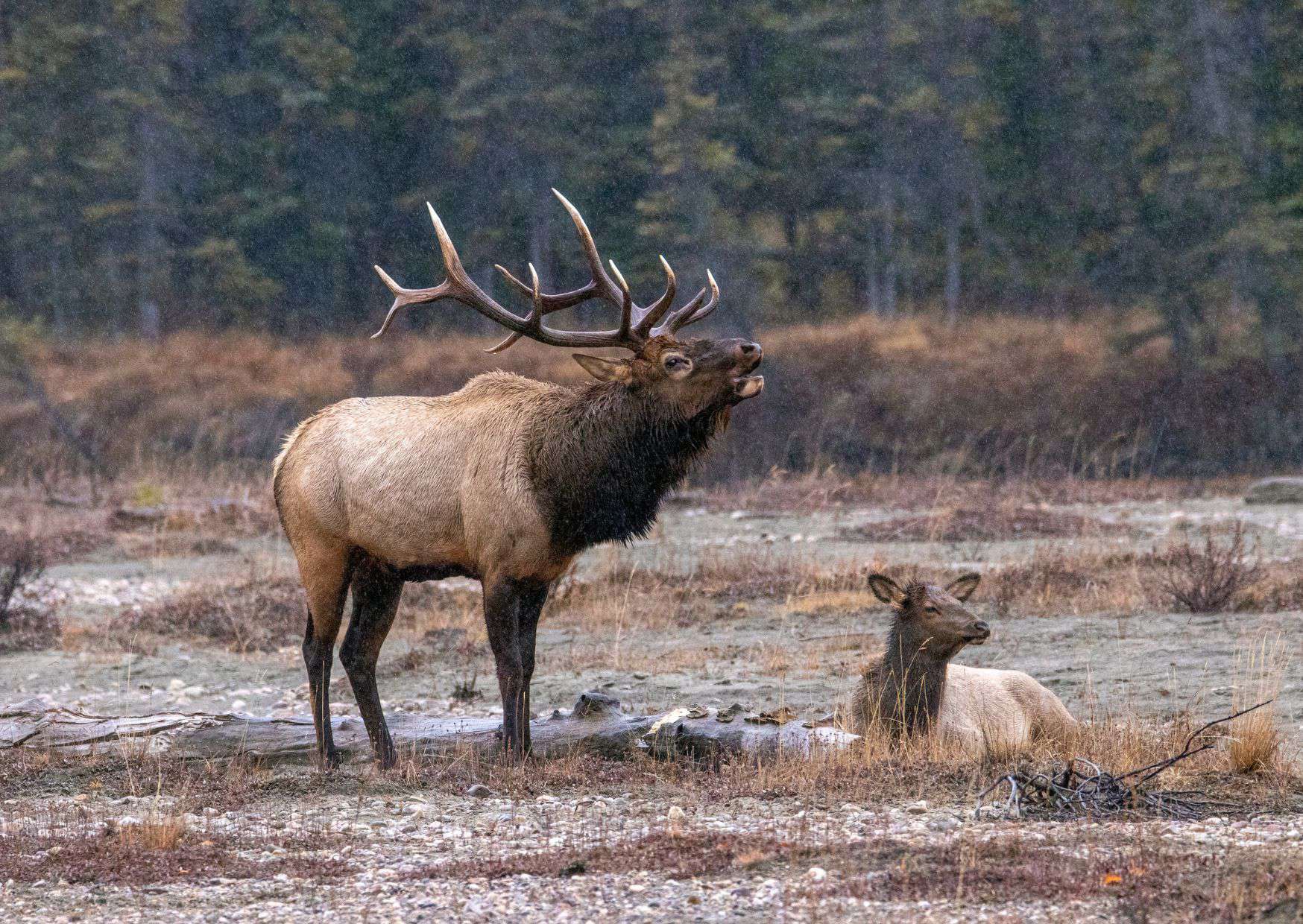 20 Unspoken Rules of Canadian Life That Tourists Often Don’t Understand