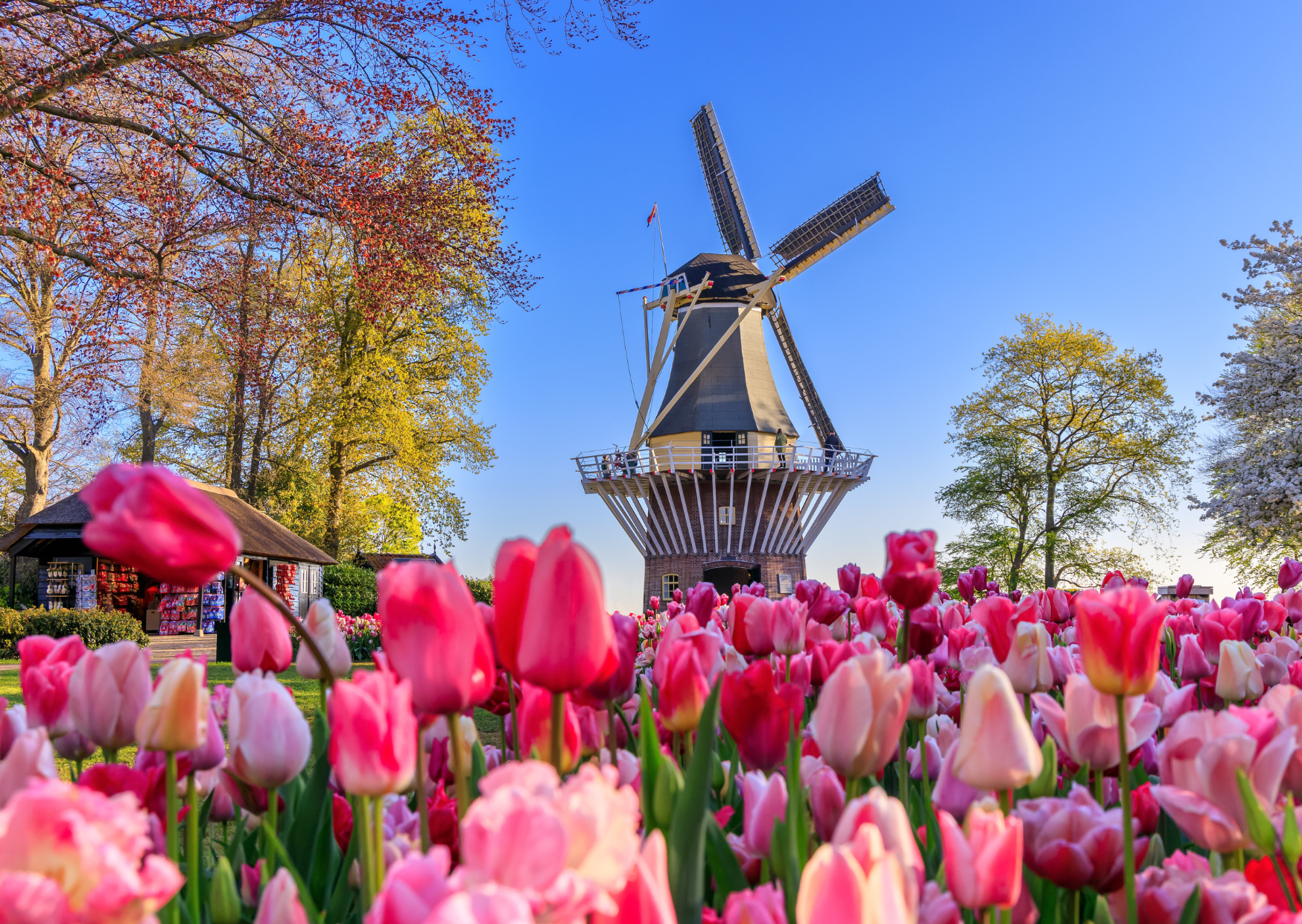 The Prenup Every Dutch Couple Signs That American Lawyers Call Bulletproof 2 Dutch Prenup