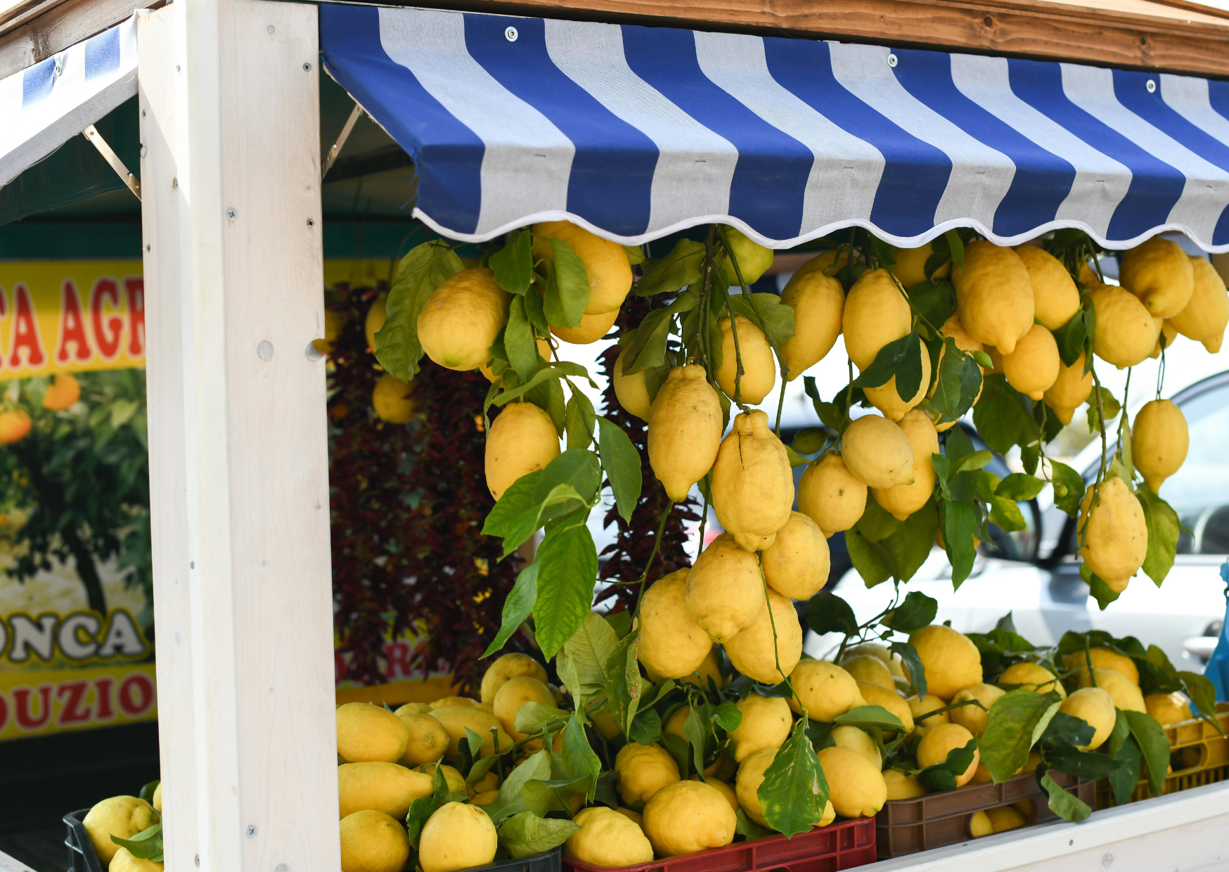 rome markets 3