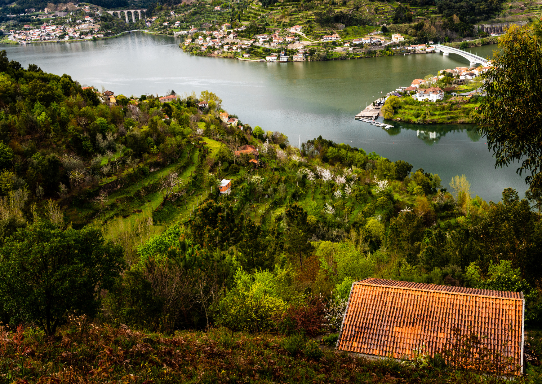 Portugal Viseu