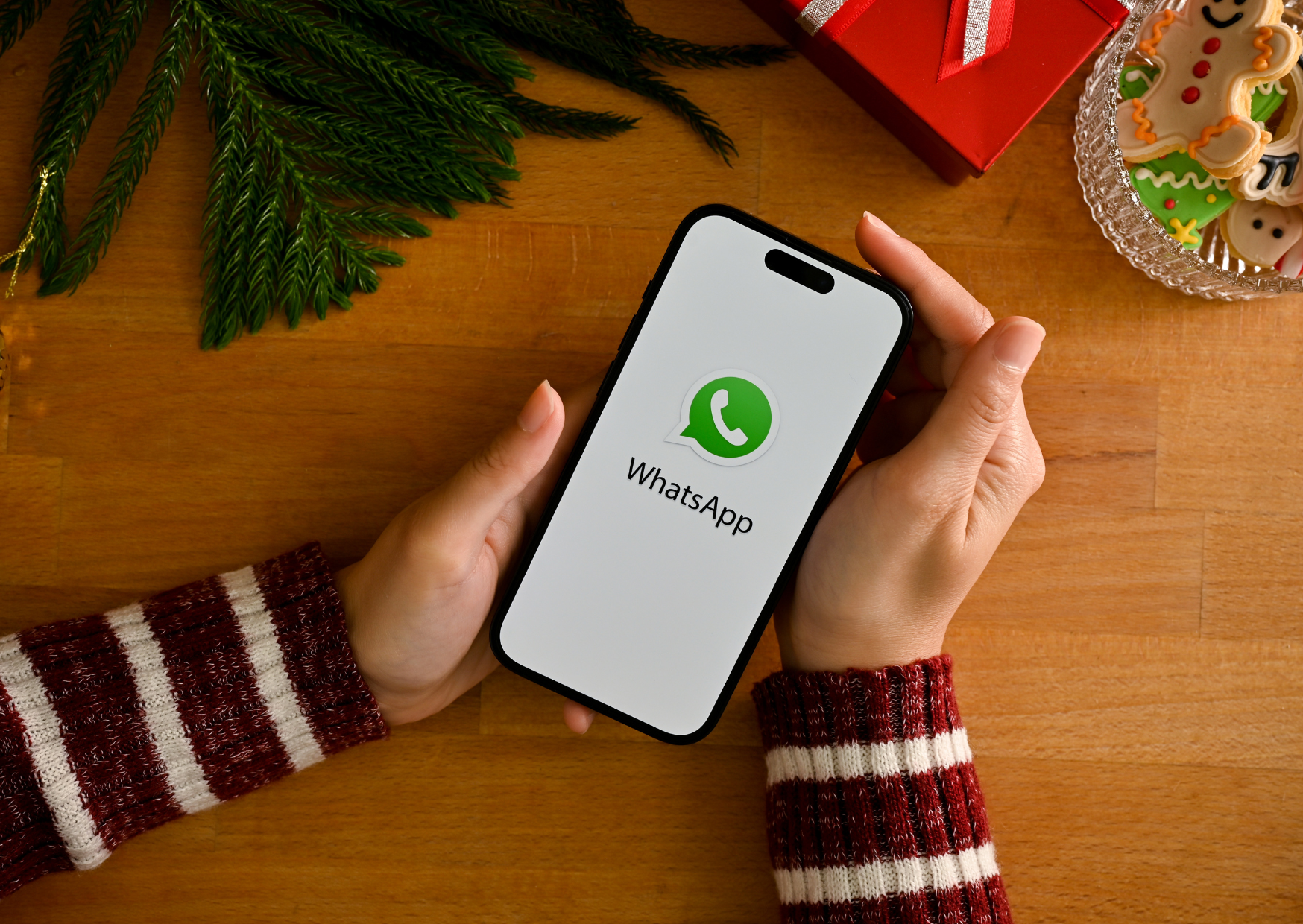 The WhatsApp Read Receipts That Destroy German Friendships 3 Whatsapp Read Receipt 6
