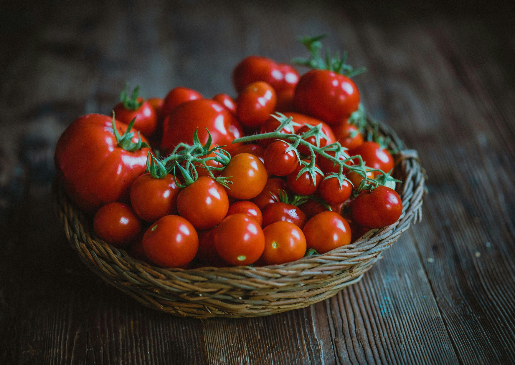 italian tomatoes datterino