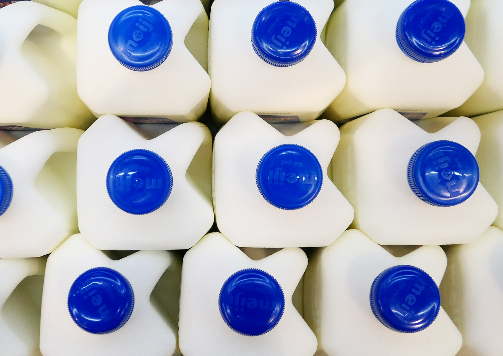 milk processing 3