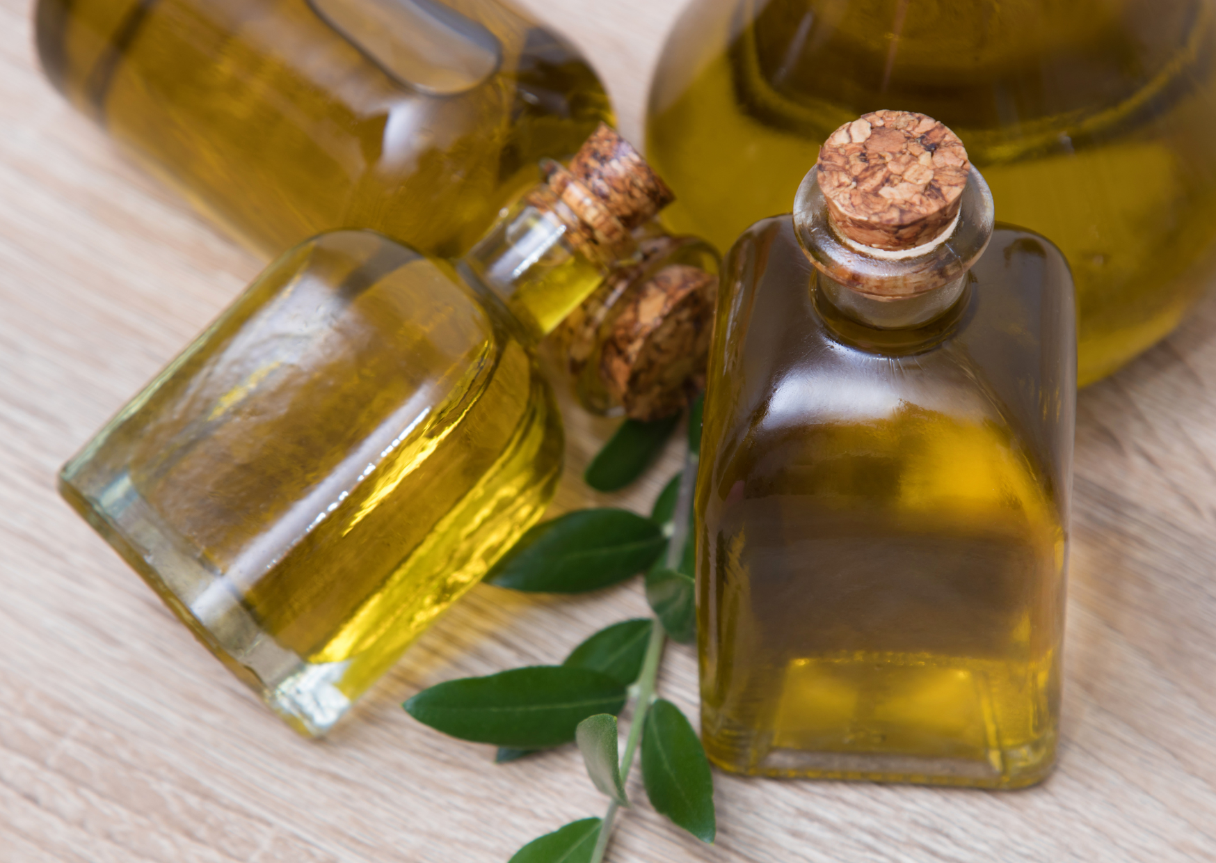 seed oils 3