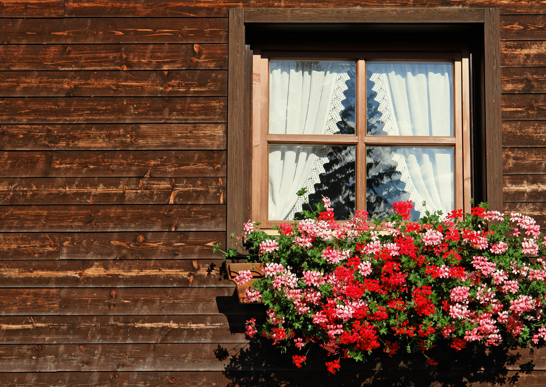 Austrian window 3