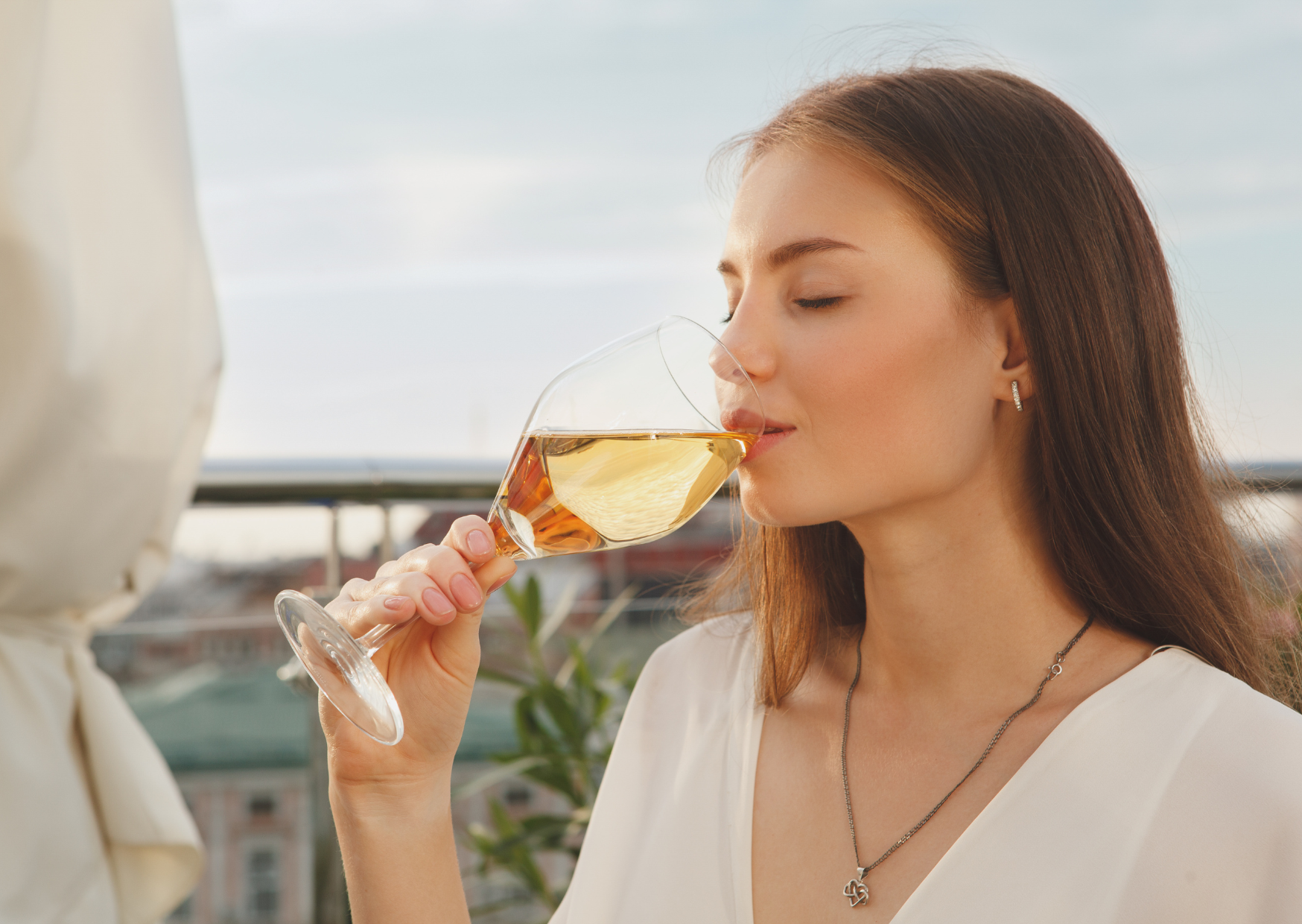 French Wine 2