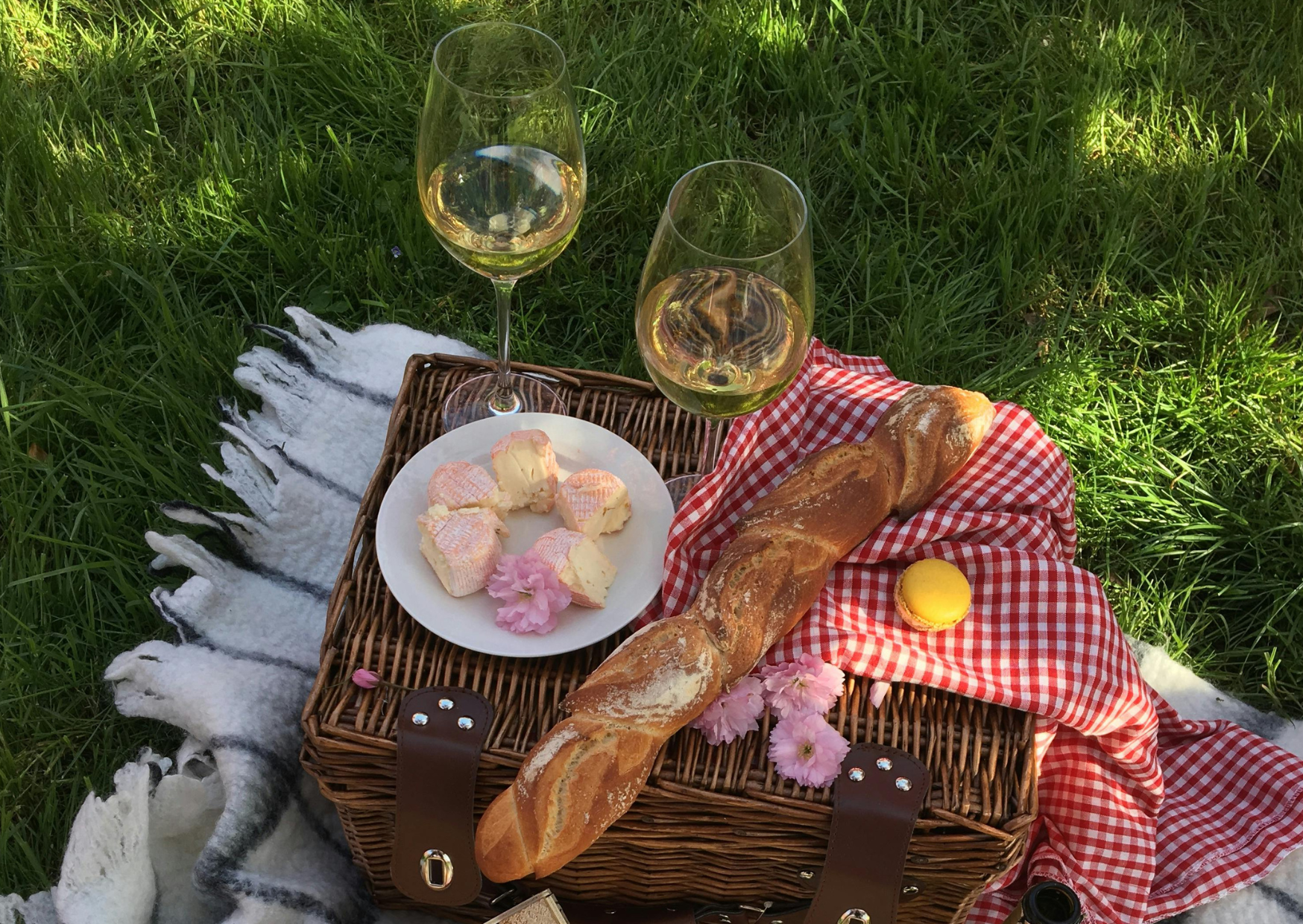 French Wine 3