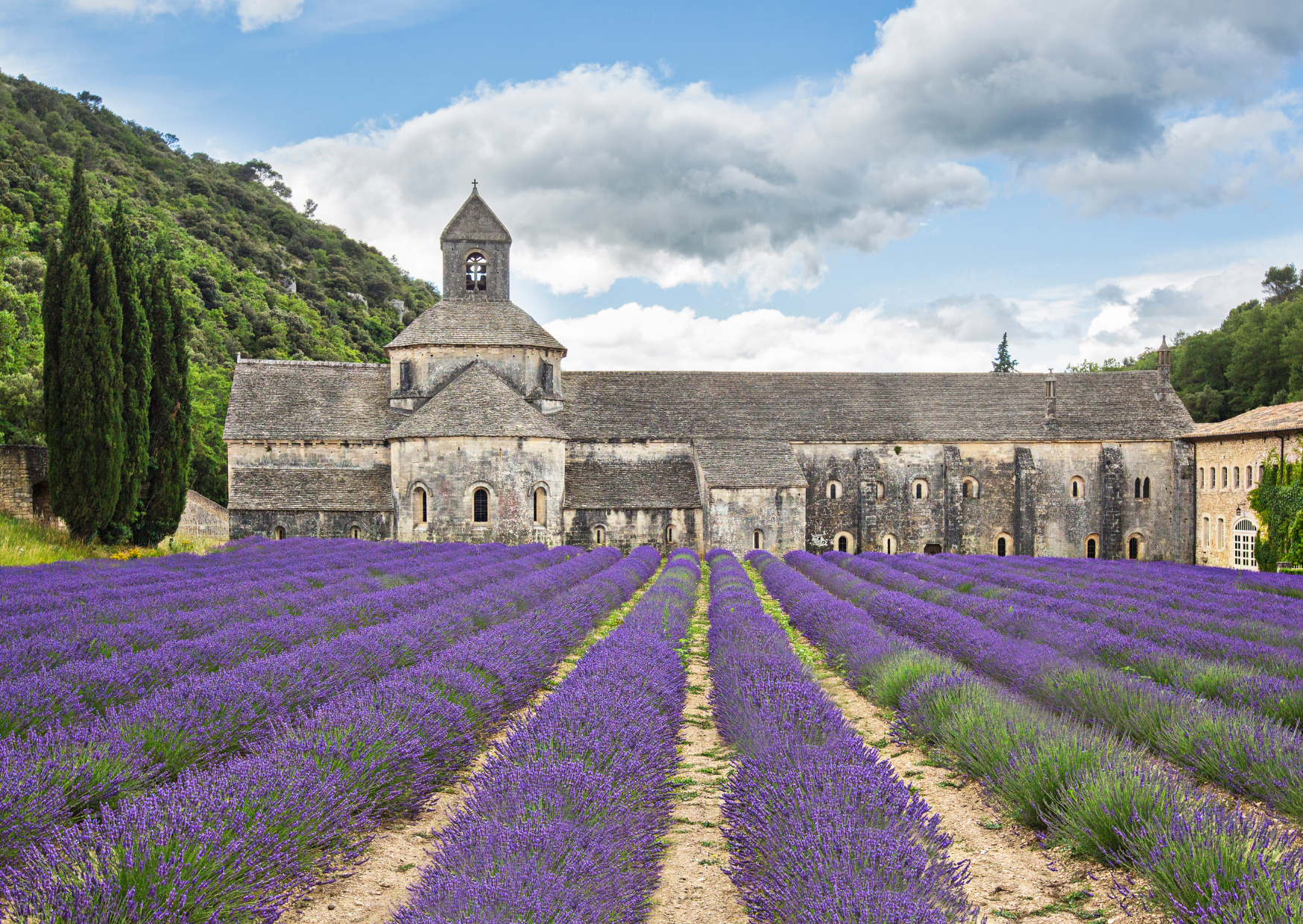 Life in France 3
