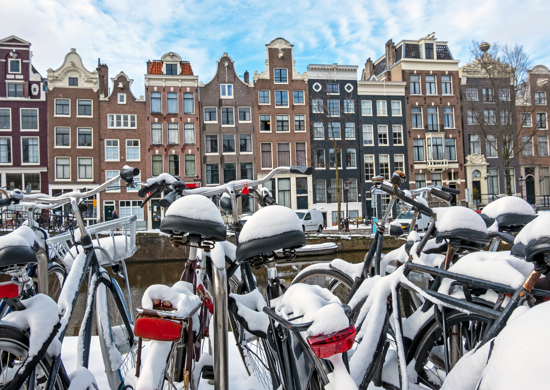 dutch winters 5 1