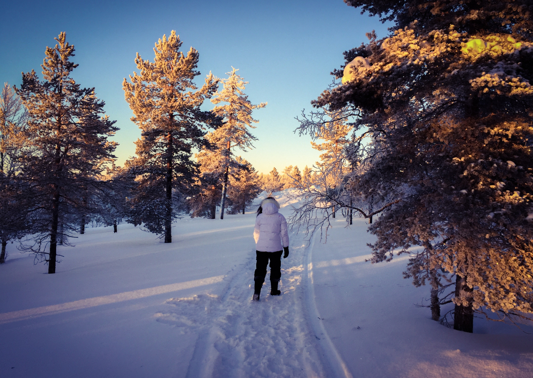 winter 6