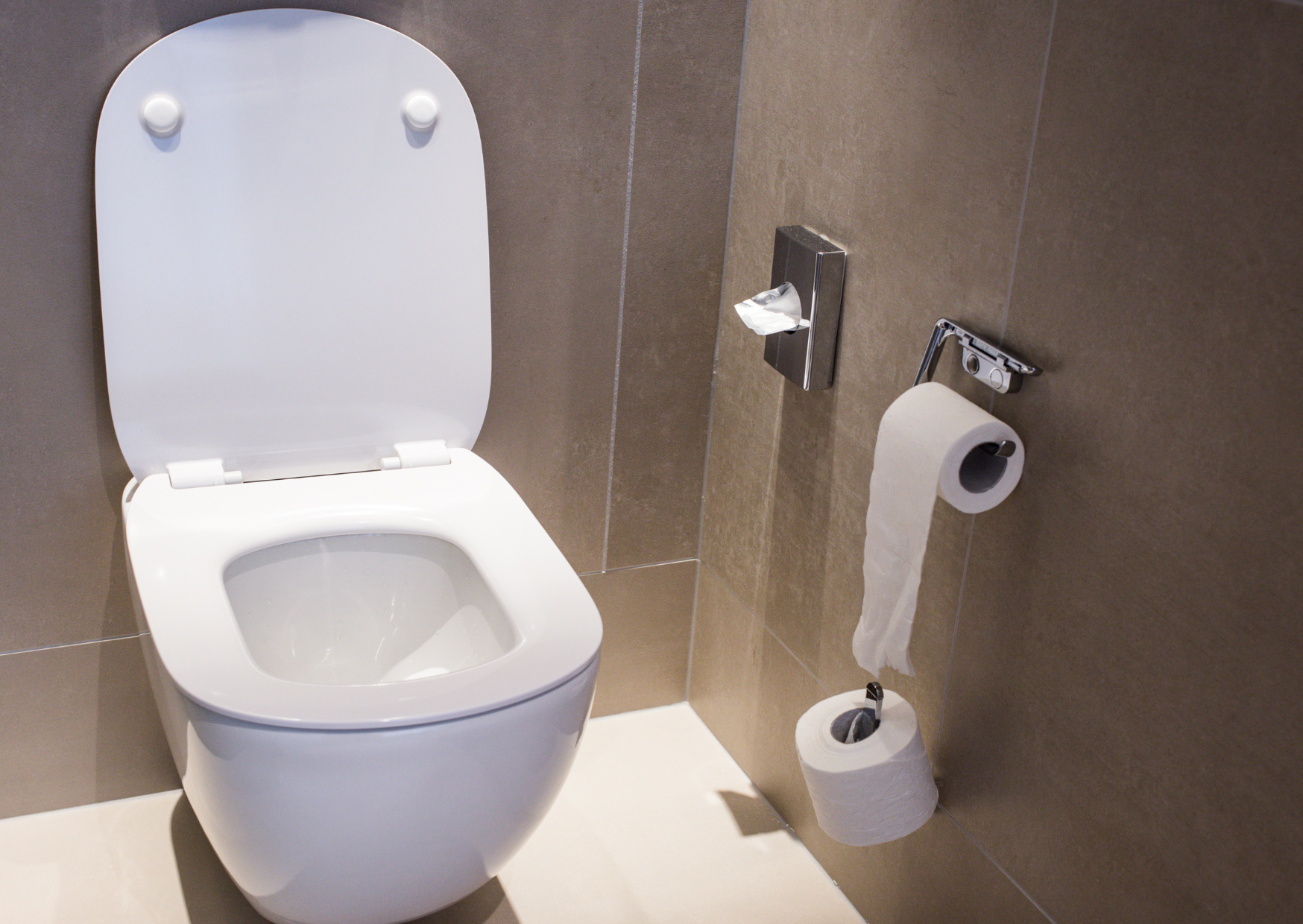 The German Bathroom Habit Americans Think Is Disgusting Until They Try It 5 german bathroom 6