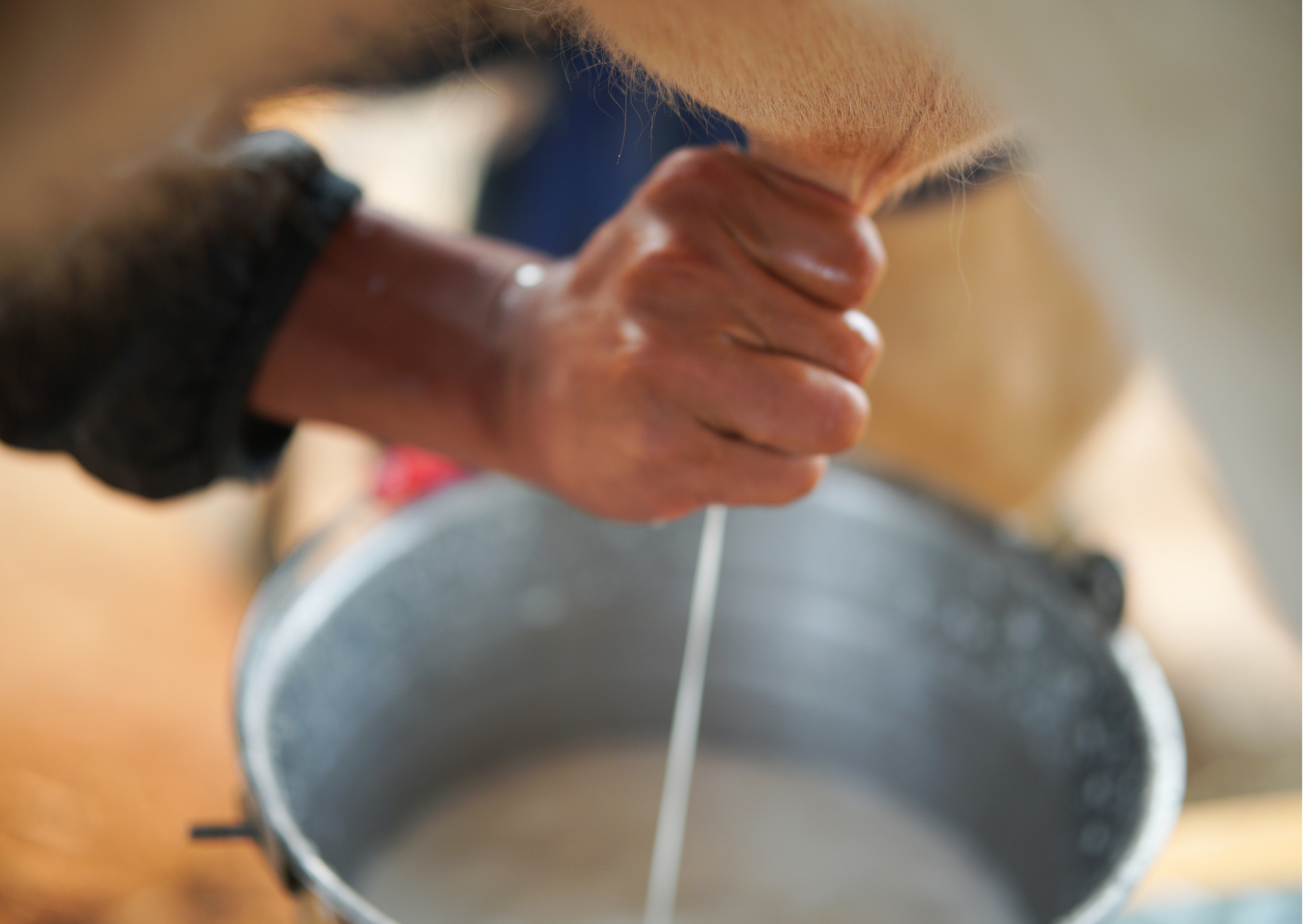 milk in Spain 3