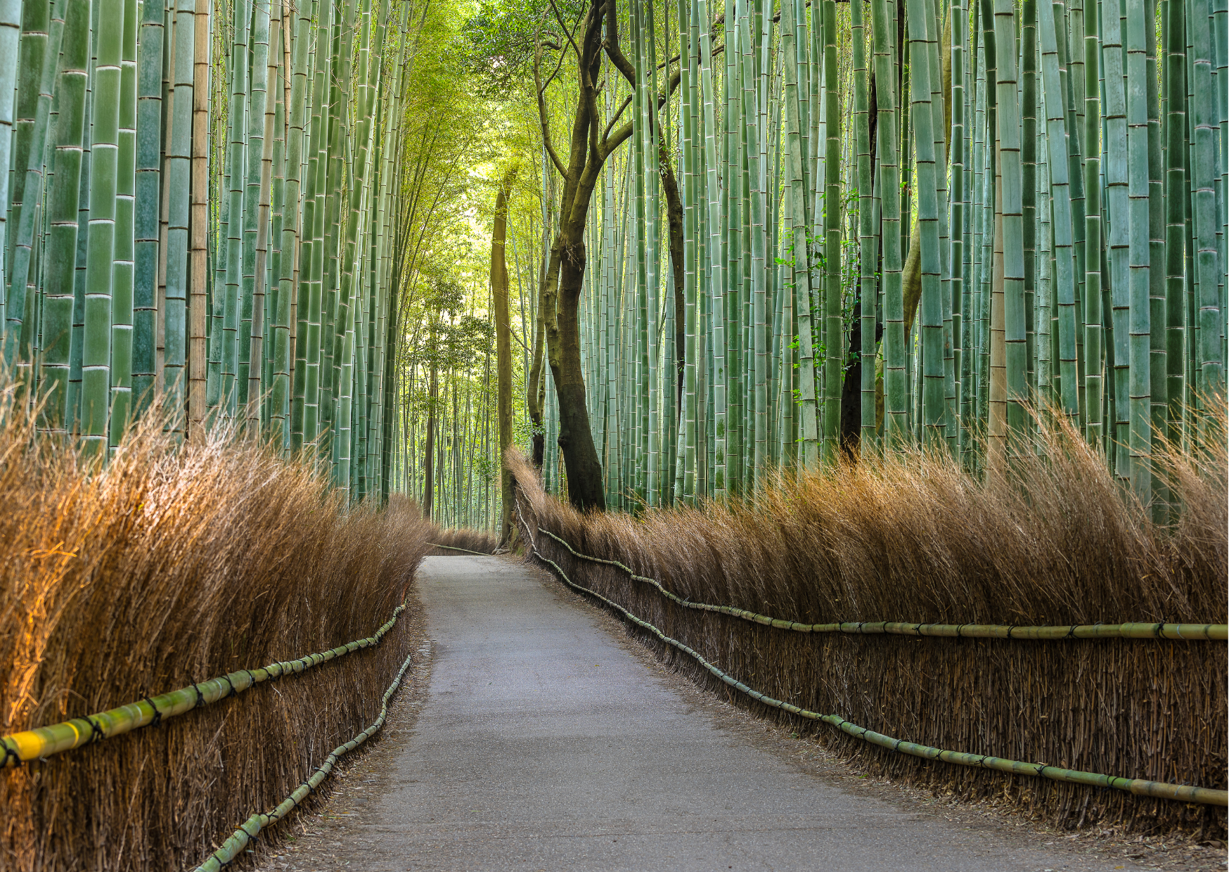 The 5 Japan Mistakes First-Time American Visitors Make 1 Japan 7