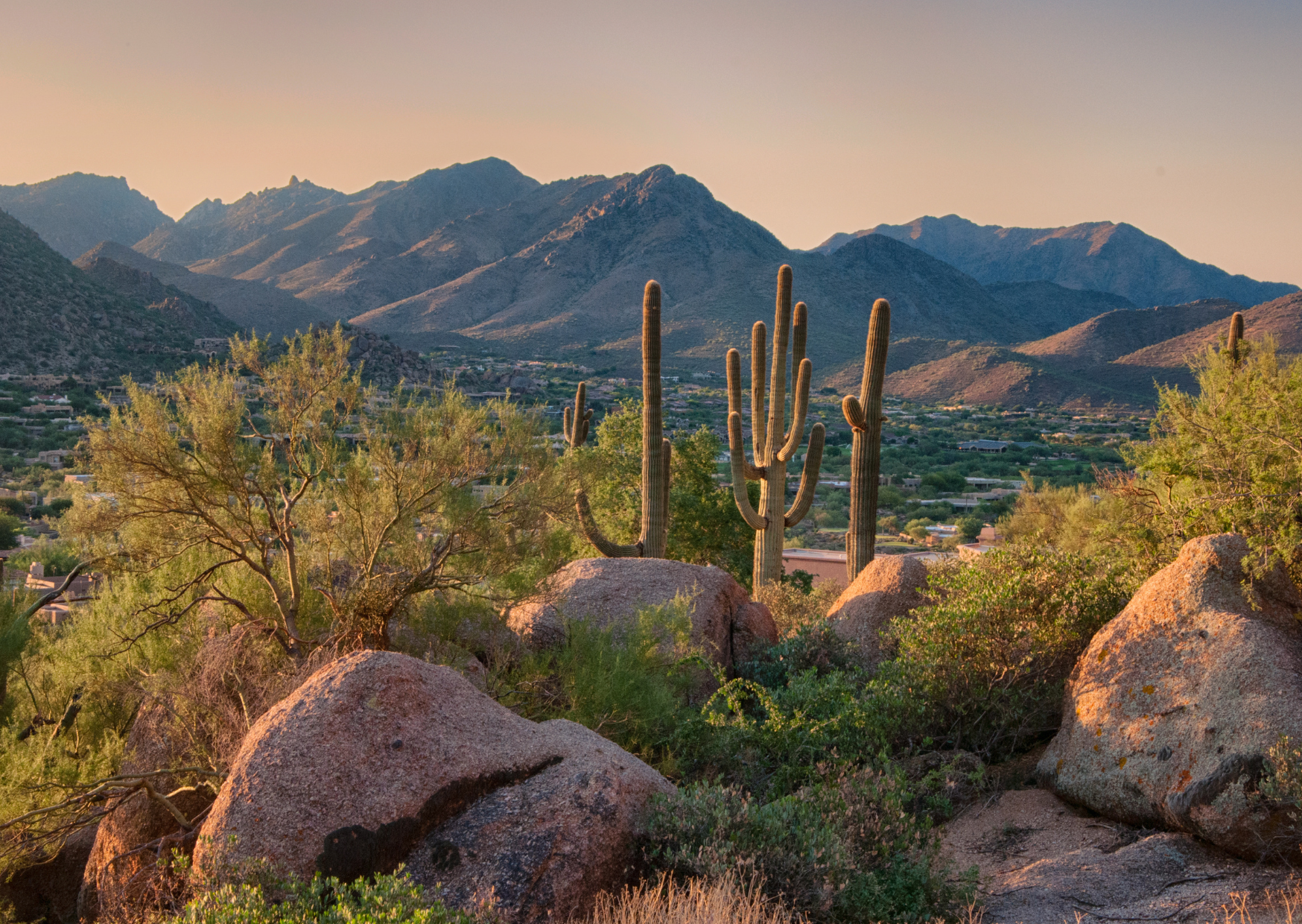 Arizona