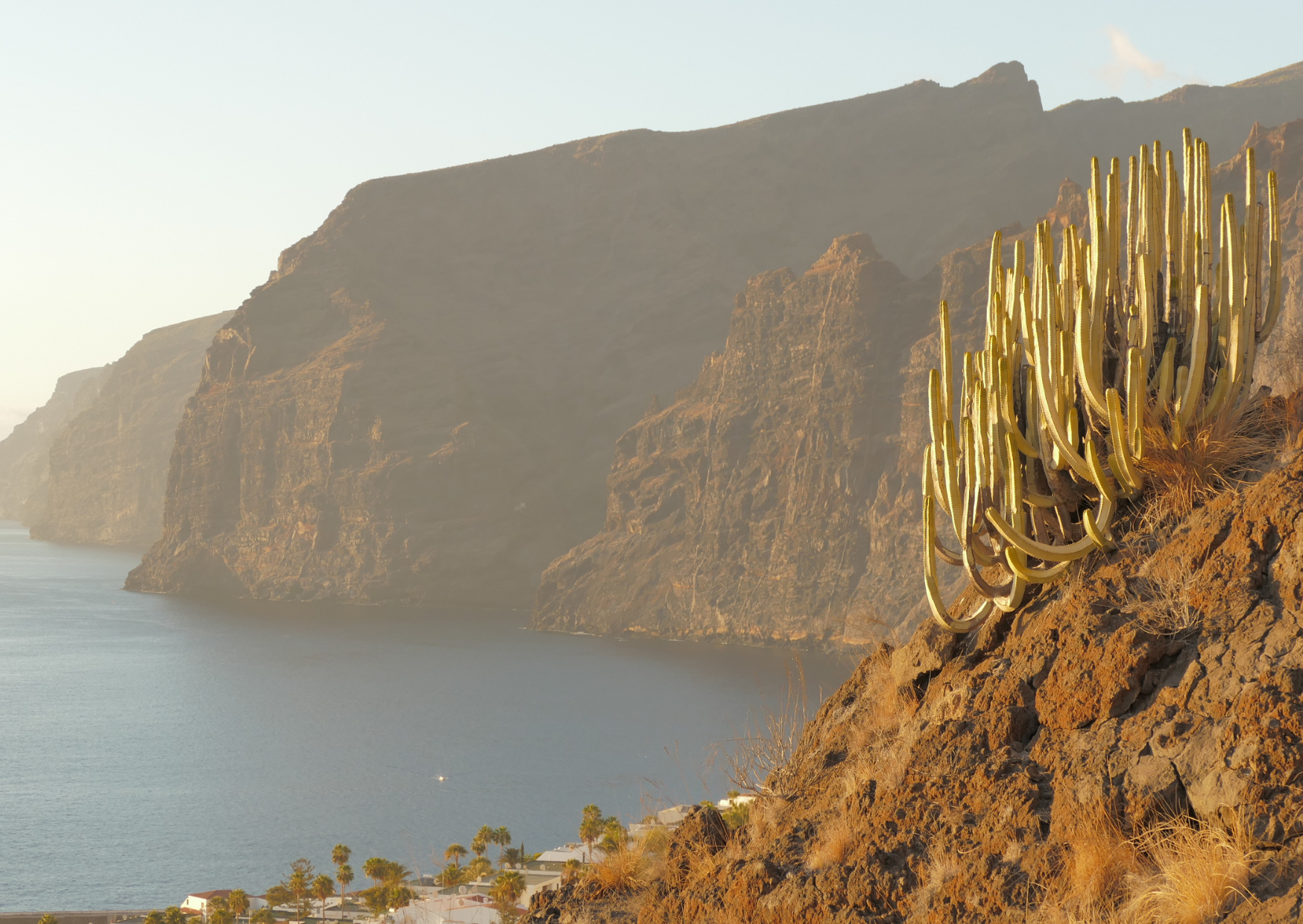 Why We Moved to Tenerife Instead of Lisbon And Never Looked Back 10 Tenerife 4