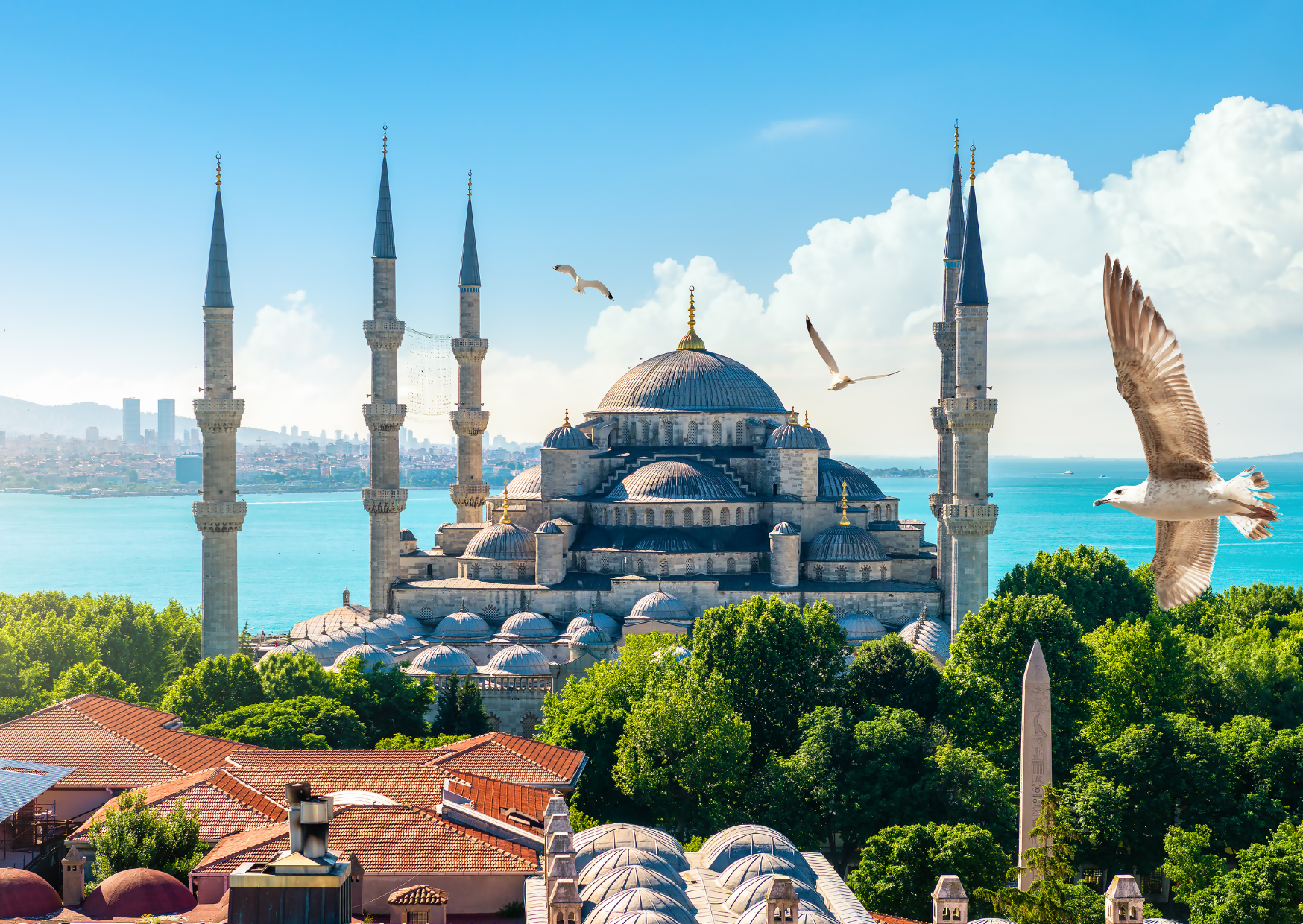 living in Turkey