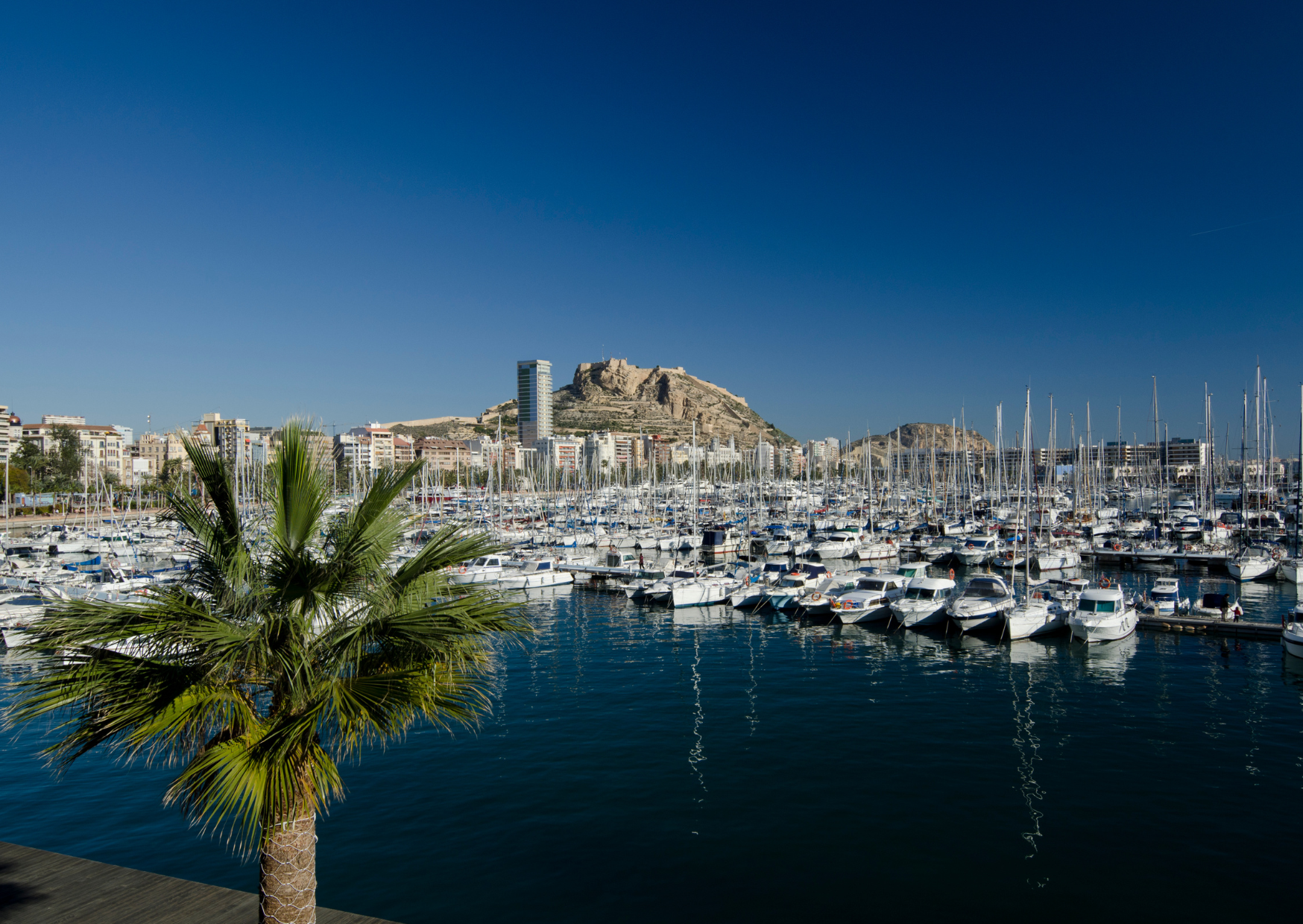 Alicante 6