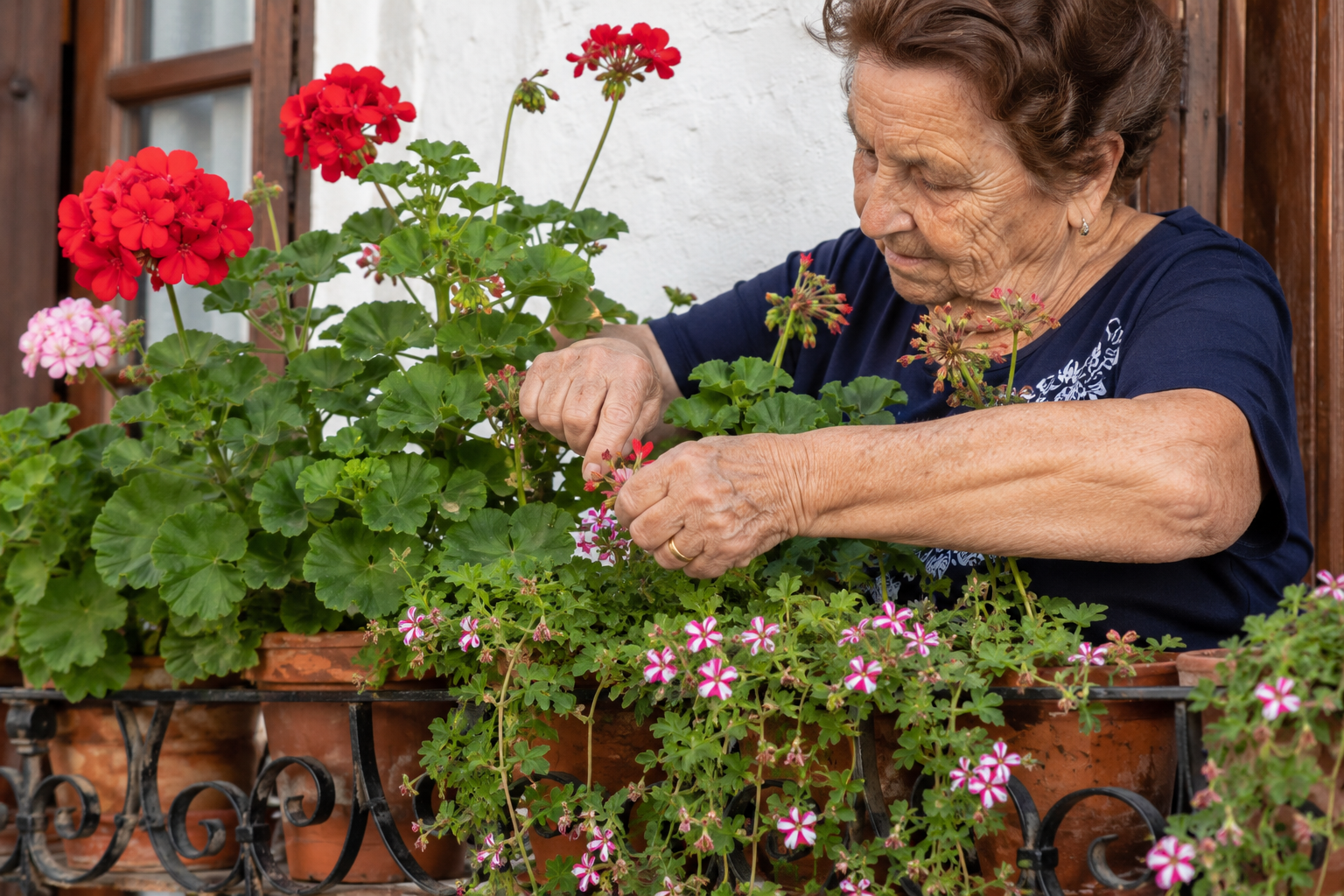 abuelas 2